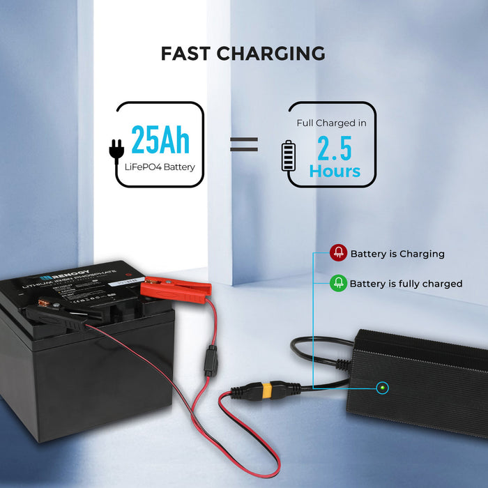 Purchase Renogy 24V 10A AC-to-DC LFP Portable Battery Charger