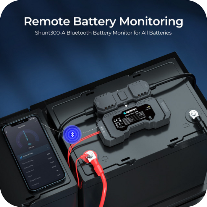 Shop Renogy Battery Shunt 300 Online
