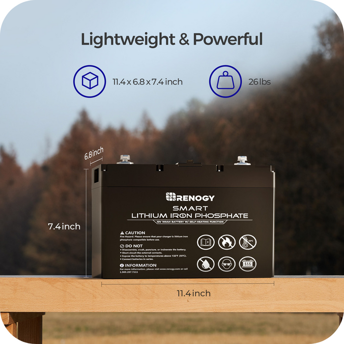 Buy Renogy 12V 100Ah Smart Lithium Iron Phosphate (LiFePO4) Battery w/ Self-Heating Function (w/Monitoring Screen (Free Gift))