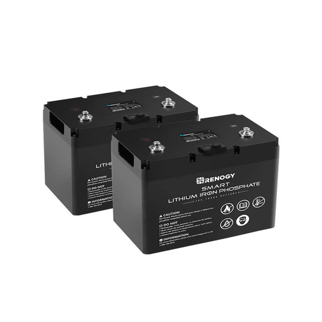 Buy Renogy 12V 100Ah Smart Lithium Iron Phosphate (LiFePO4) Battery (2 Batteries (Bundle & Save))