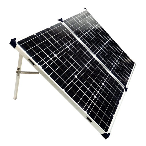 Purchase Lion Energy 100W 12V Solar Panel | 50170261