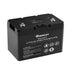 Buy Renogy 12V 100Ah Smart Lithium Iron Phosphate (LiFePO4) Battery (1 Battery)
